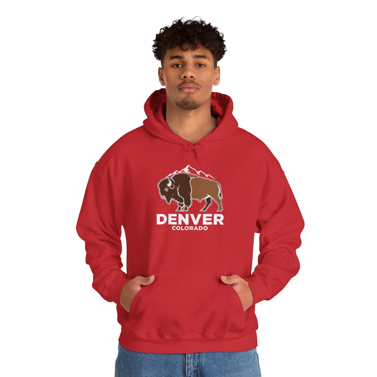 Denver Colorado Hoodie – Bison & Mountain Graphic Pullover