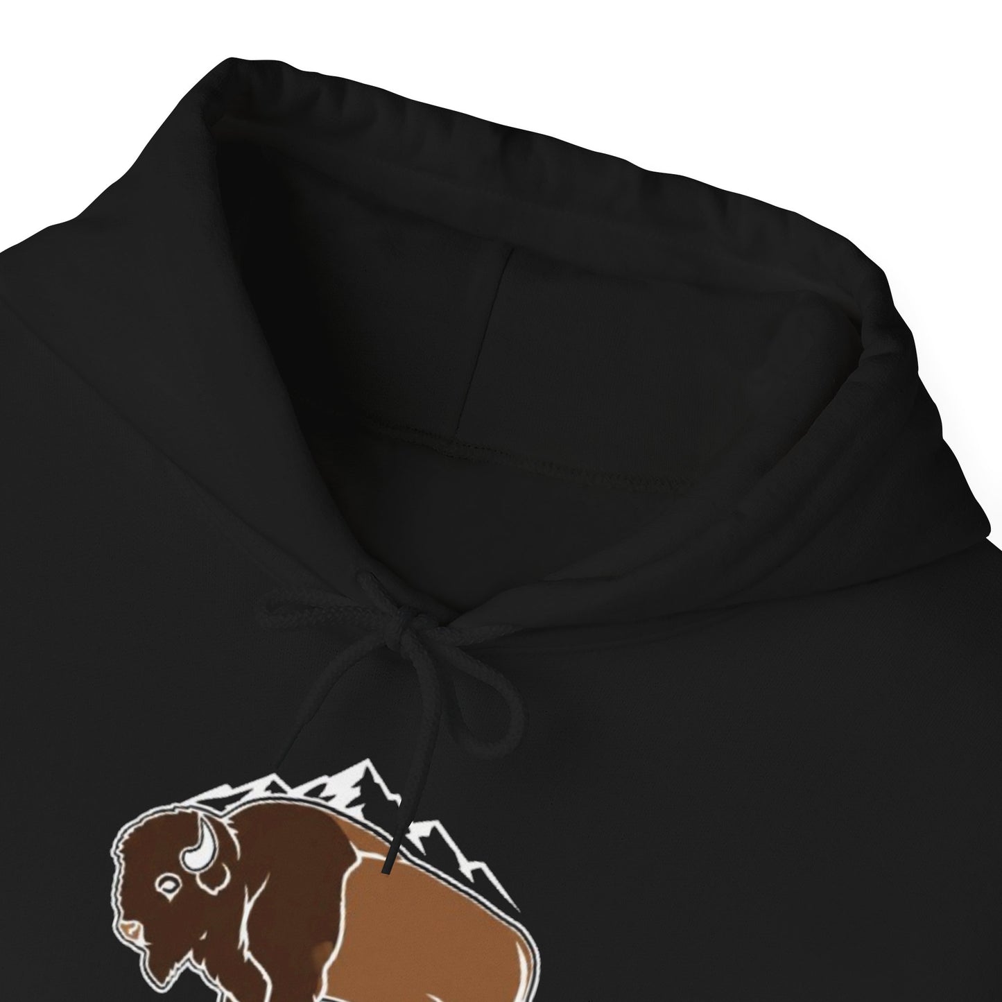 Denver Colorado Hoodie – Bison & Mountain Graphic Pullover
