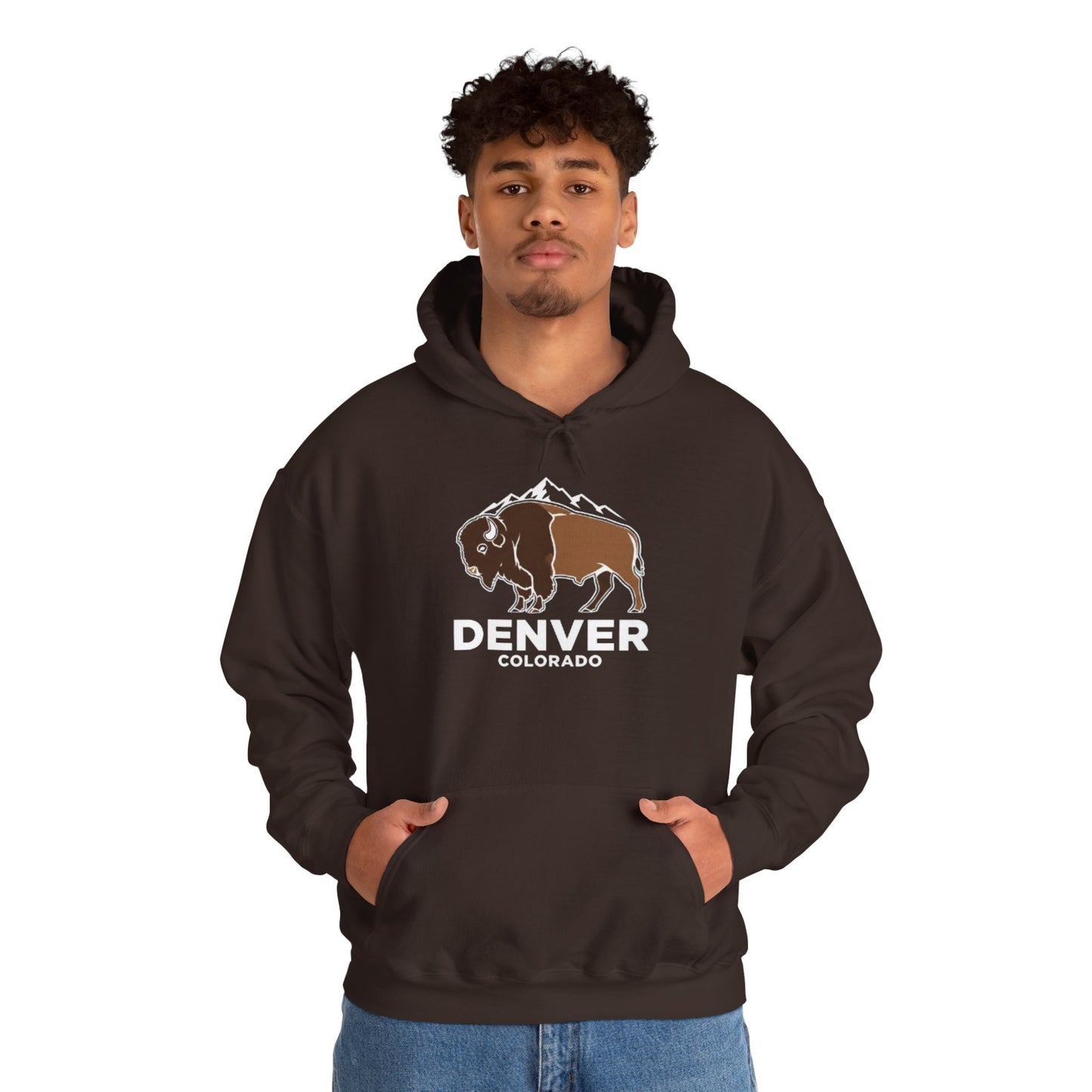 Denver Colorado Hoodie – Bison & Mountain Graphic Pullover