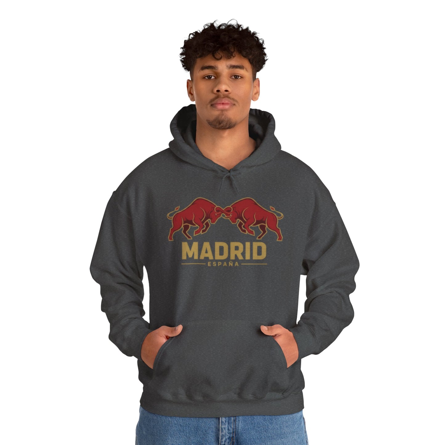 Madrid Spain Bull Hoodie – Vintage Fighting Bulls Graphic Sweatshirt