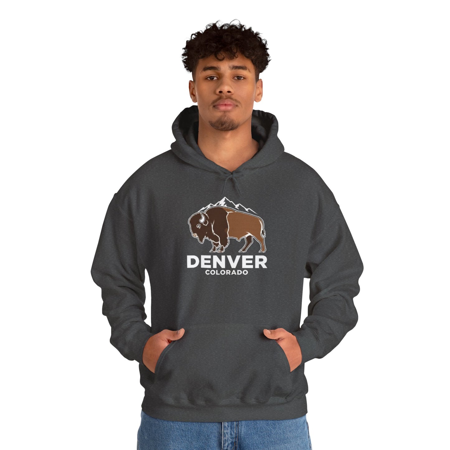 Denver Colorado Hoodie – Bison & Mountain Graphic Pullover